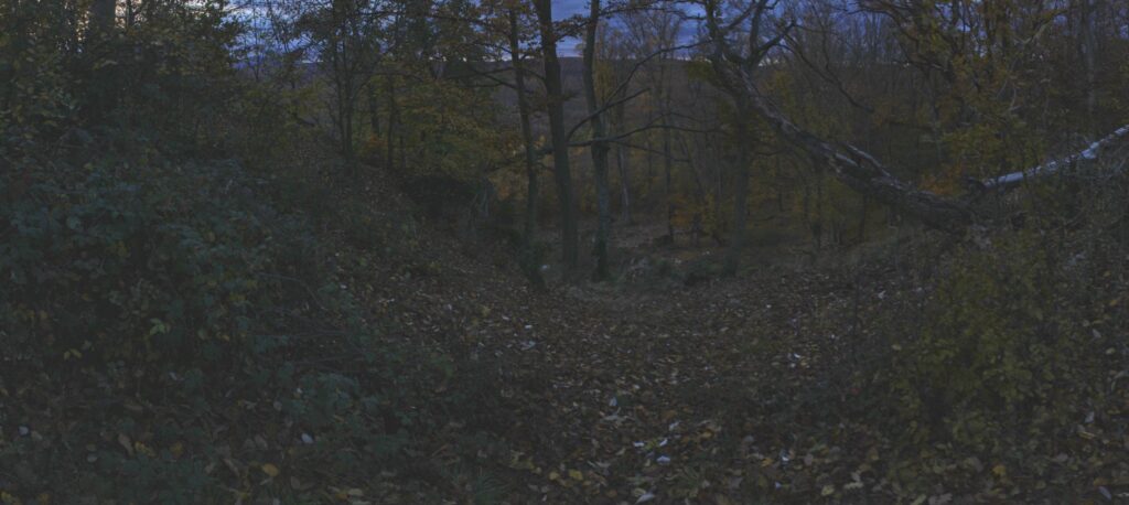 Skalka. Ubúdajúce svetlo. (r.2021/Canonsp.)