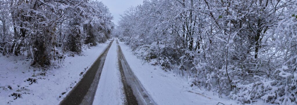 Žigard. Cesta. (r.2021/Canonsp.)